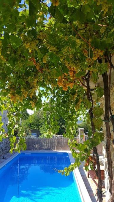 Stone House Kula Milica Villa Mala Cista Exterior photo